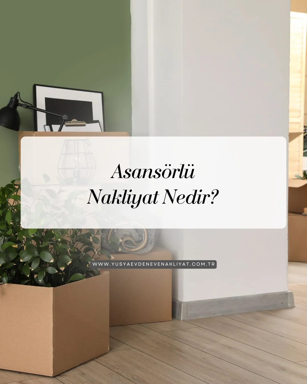 Asansörlü Nakliyat